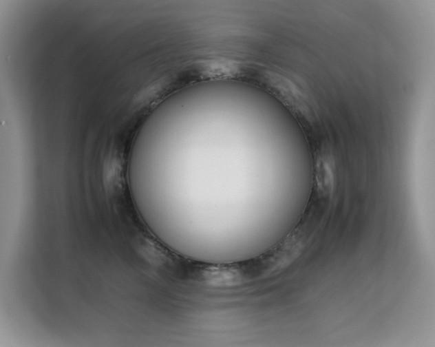 X0000112210714200908071454