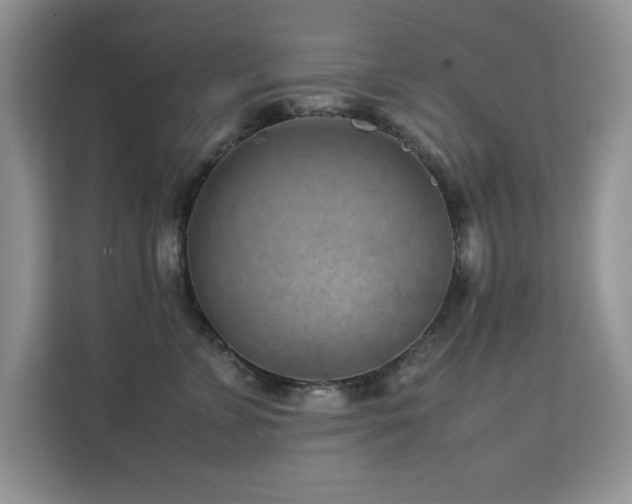 X0000112210715200908071454