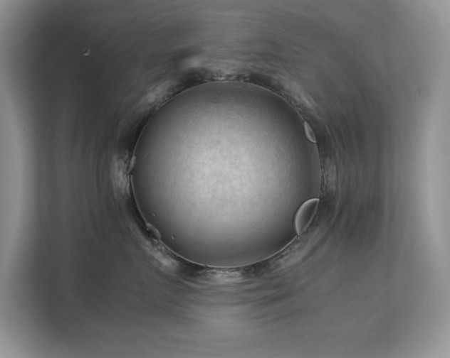 X0000112210719200908071454