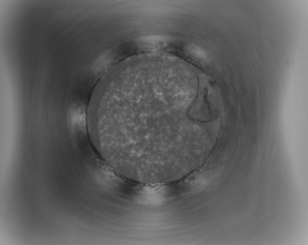 X0000112210720200908071454