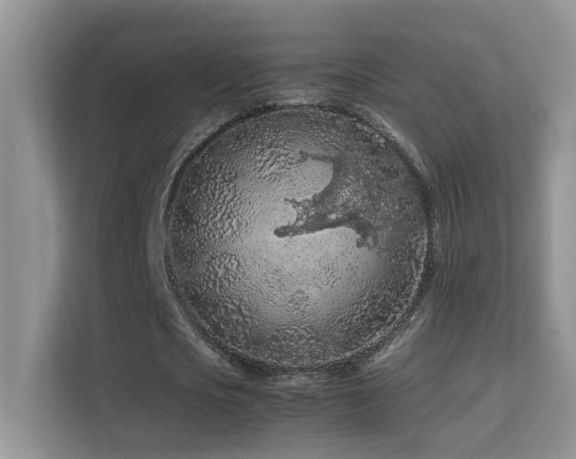 X0000112210721200908071453