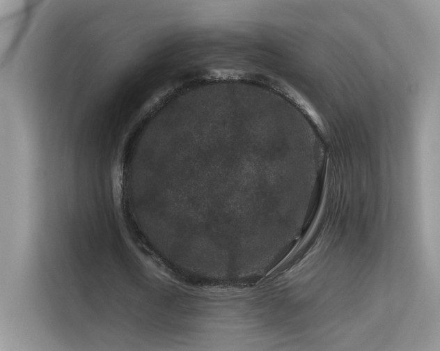 X0000112210722200908071453
