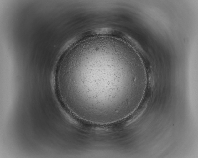 X0000112210725200908071453