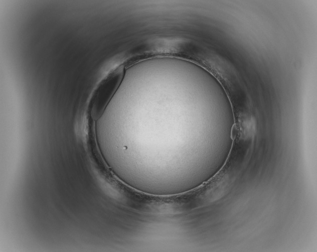 X0000112210726200908071453