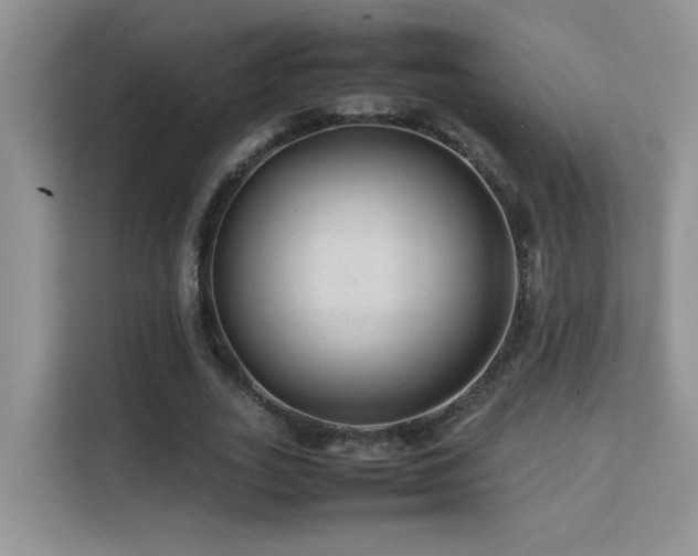 X0000112210727200908071453