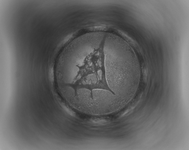 X0000112210729200908071453