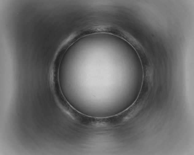 X0000112210730200908071453