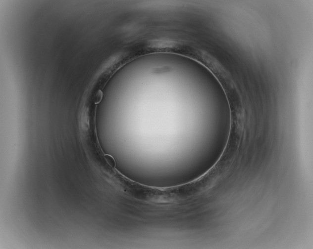X0000112210731200908071453