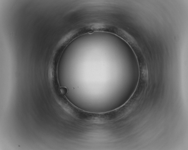 X0000112210732200908071453
