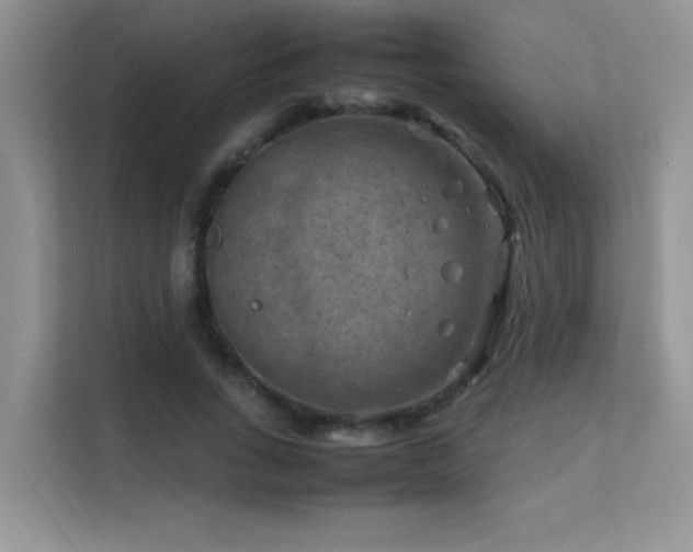 X0000112210735200908071453