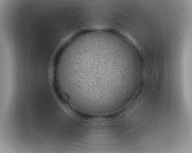 X0000112210736200908071453