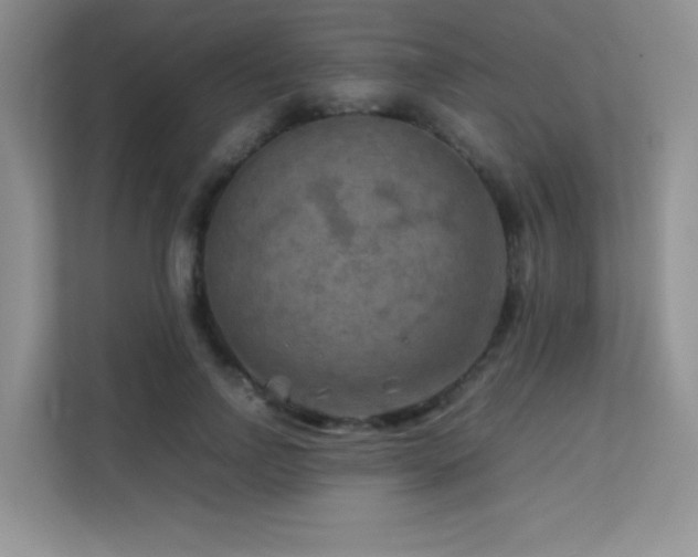 X0000112210742200908071453