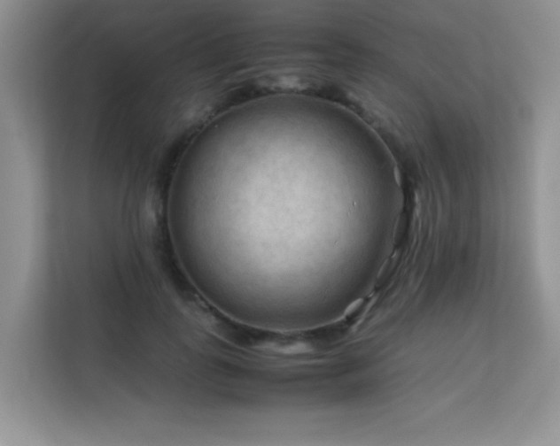 X0000112210747200908071454