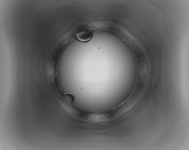 X0000112210749200908071454