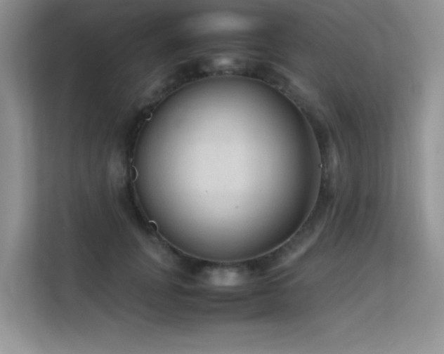 X0000112210751200908071454