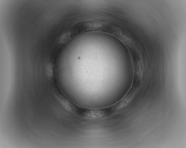 X0000112210758200908071454