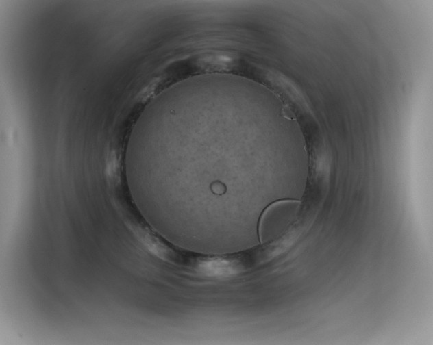 X0000112210759200908071454
