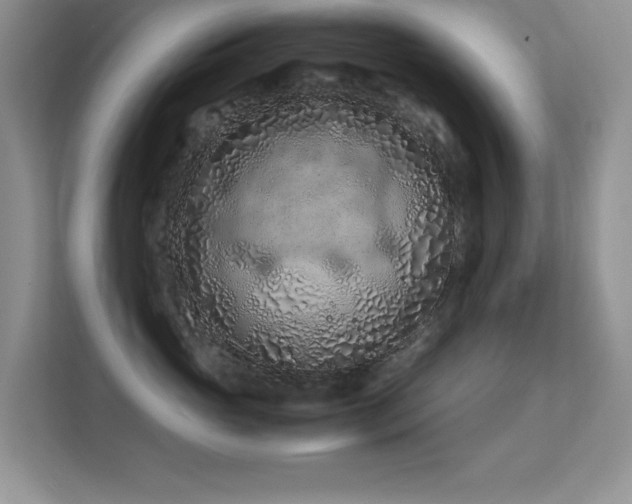 X0000112210765200908071454