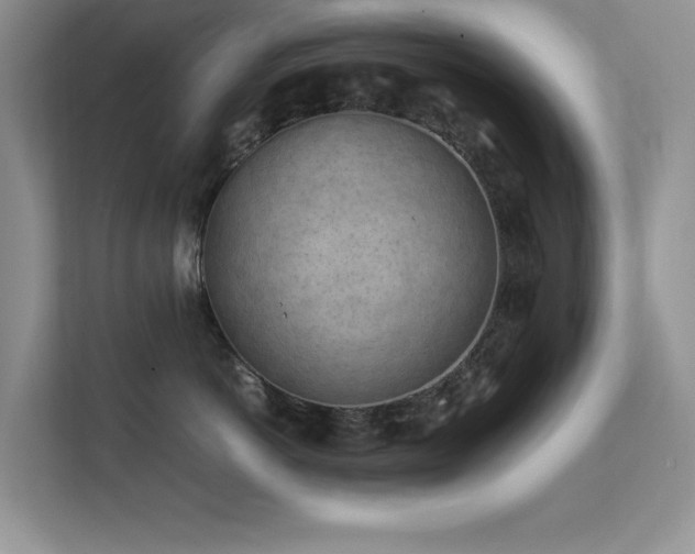 X0000112210766200908071454