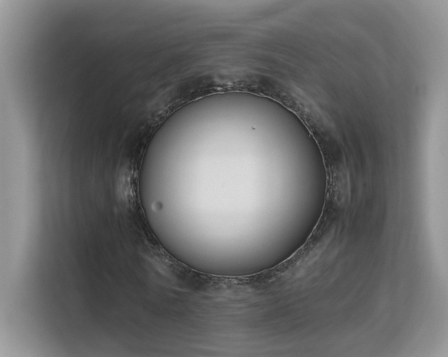 X0000112210770200908071453