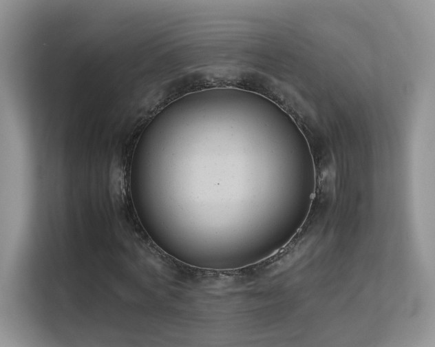 X0000112210772200908071453