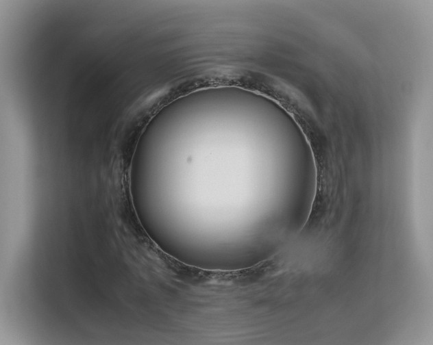 X0000112210773200908071453