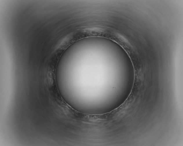X0000112210774200908071453