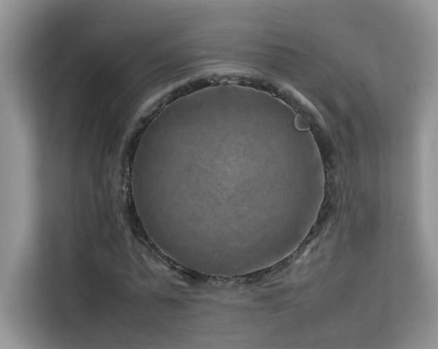 X0000112210775200908071453