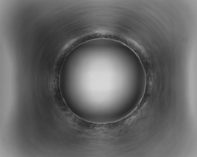 X0000112210776200908071453
