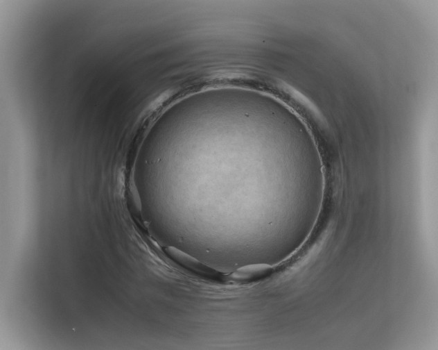 X0000112210777200908071453