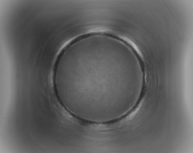 X0000112210783200908071453