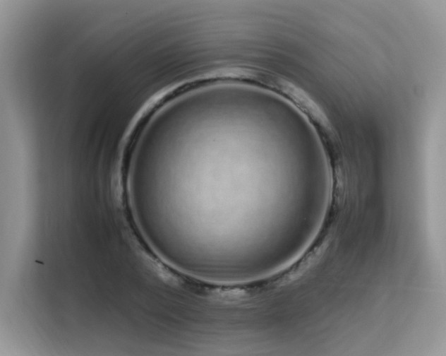 X0000112210784200908071453