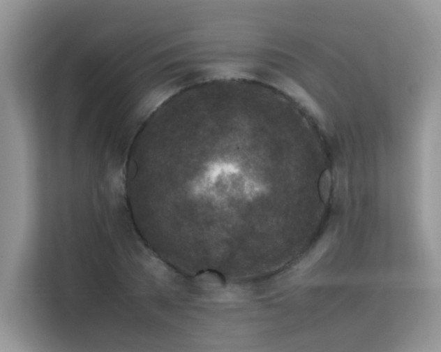 X0000112210785200908071453