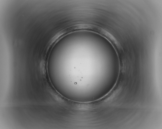 X0000112210786200908071453