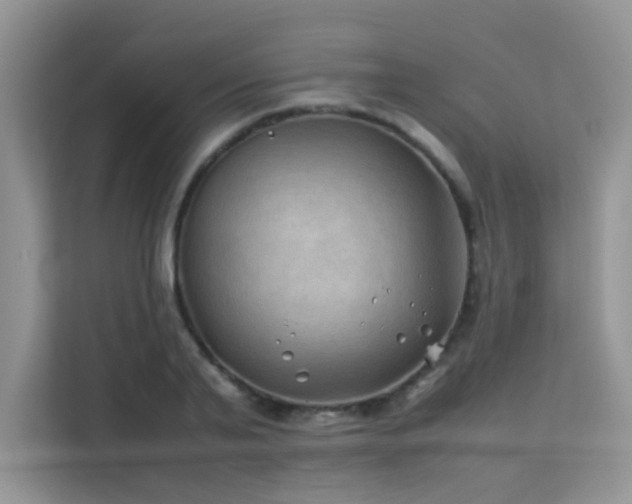 X0000112210791200908071453