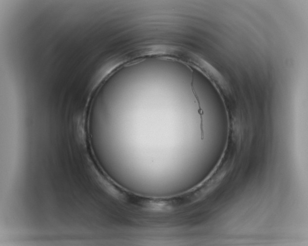 X0000112210794200908071453