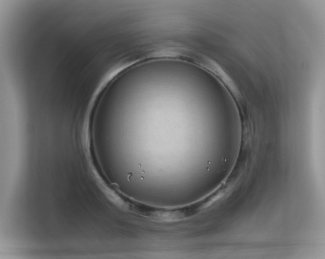X0000112210795200908071453