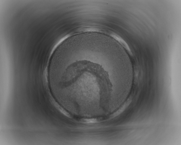 X0000112210798200908071453