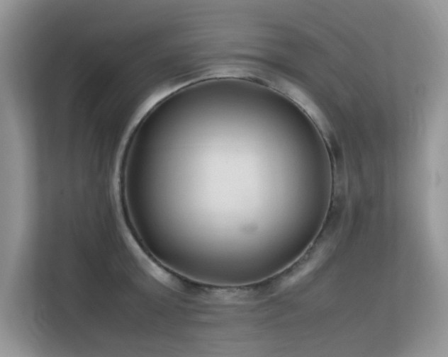 X0000112210803200908071453