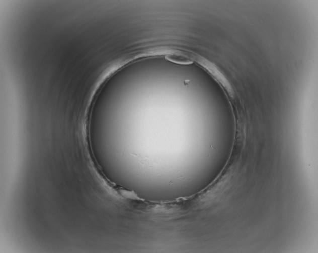 X0000112210805200908071453