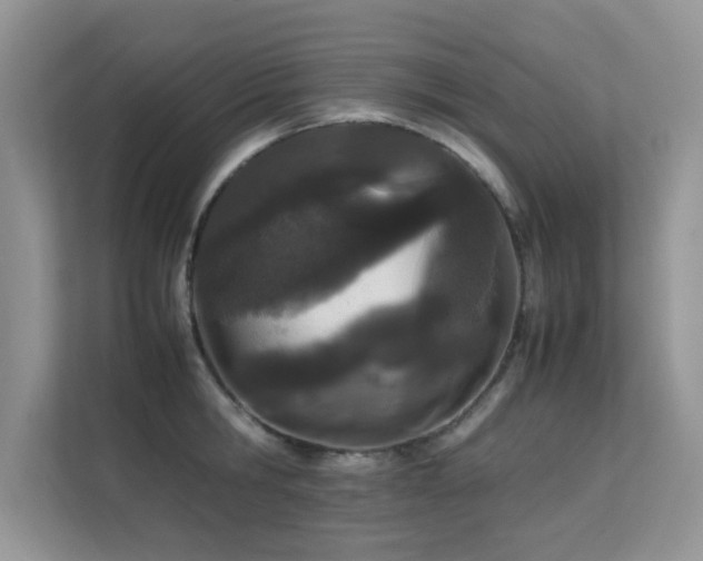 X0000112210806200908071453