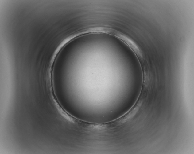 X0000112210808200908071453