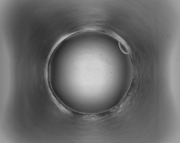 X0000112210811200908071453