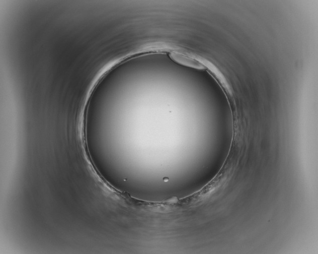 X0000112210815200908071453
