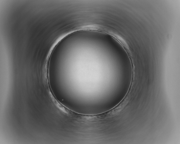 X0000112210816200908071453
