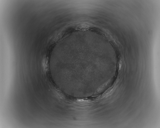 X0000112210818200908071452