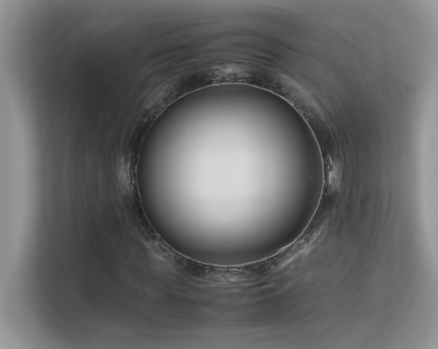 X0000112210819200908071452