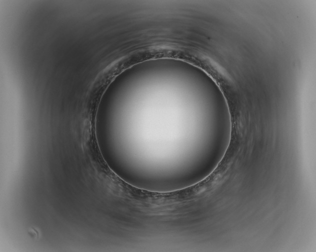 X0000112210821200908071452