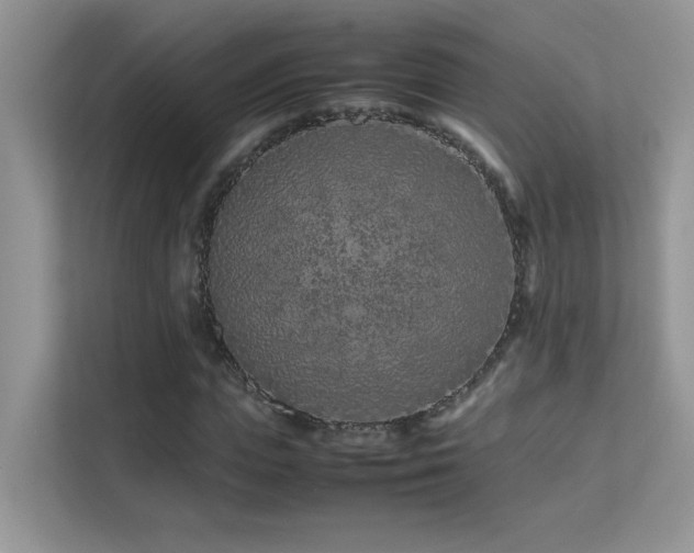 X0000112210823200908071452