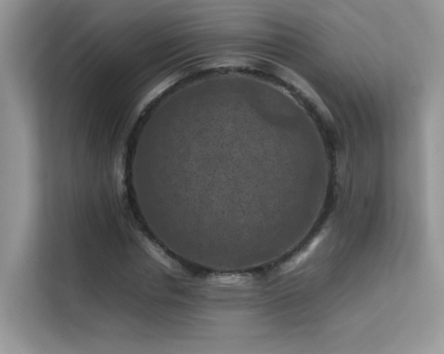 X0000112210826200908071452